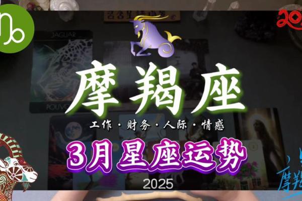 2025年3月30日各星座运势如何