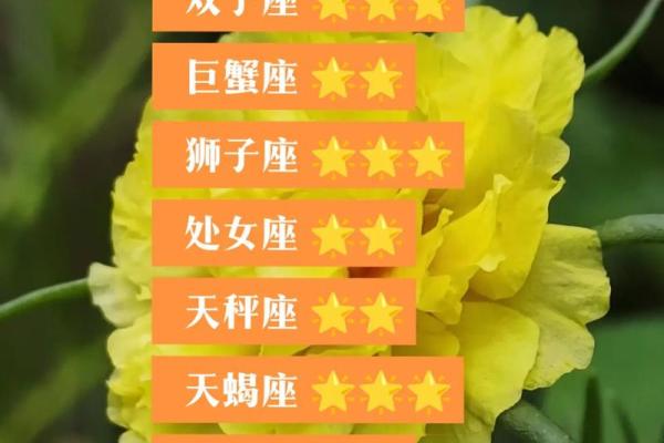 白羊座今日运势星座2025年3月26日