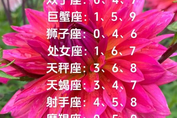 2025年3月24日今日白羊座星座运势