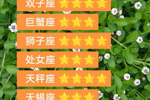 白羊座今日星座运势2025年3月28日 白羊座今日星座运势2025年3月28日