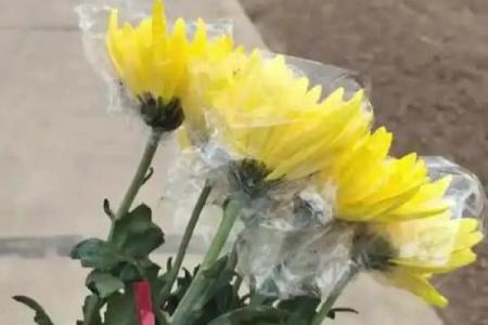 明天上坟可以动土吗