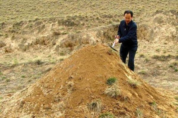 平时上坟可以动土吗 平时上坟可以动土吗