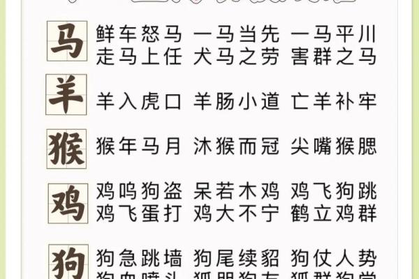 习以成俗是什么生肖(以为成语)