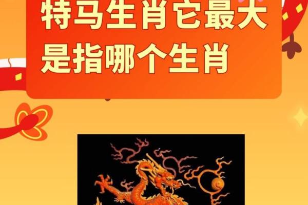 堂堂正正指什么生肖(堂堂正正打哪肖) 堂堂正正指什么生肖(堂堂正正打哪肖)