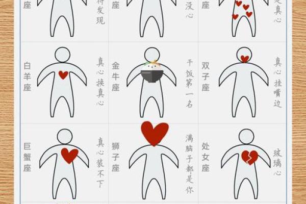 星座运势表 2024年星座运势表12星座全年运势详解