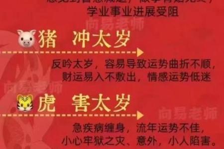 2024年金牛座运势详解财运爱情与事业全面解析