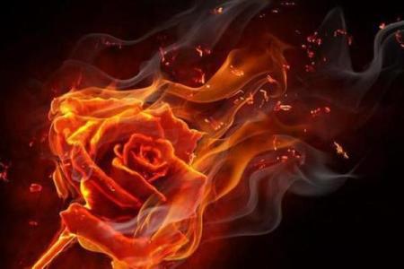 狮子座黑化双重性格_狮子座黑化后的双重性格揭秘星座背后的阴暗面