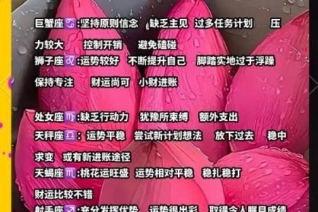 十二星座运势屋_十二星座运势屋2023年最新星座运势解析