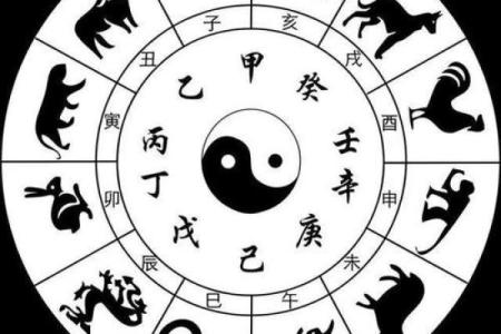 炉火纯青打一个生肖(炉火纯青打一生肖是什么)