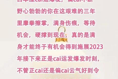 白羊座今日运势超准男_白羊今日运势查询男