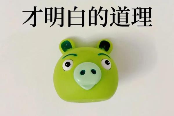 不撞南墙打一生肖(不撞南墙指的是什么生肖) 不撞南墙打一生肖(不撞南墙指的是什么生肖)