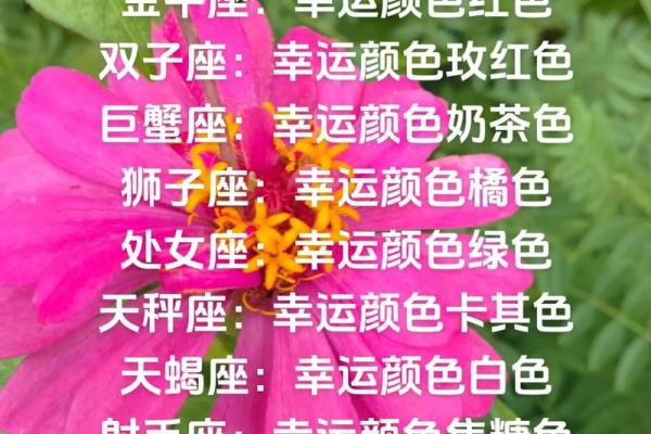 属羊金牛座女一生运势_属羊金牛座女生性格爱情观 属羊金牛座女一生运势_属羊金牛座女生性格爱情观