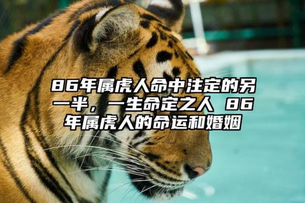 86年属虎人开业吉日