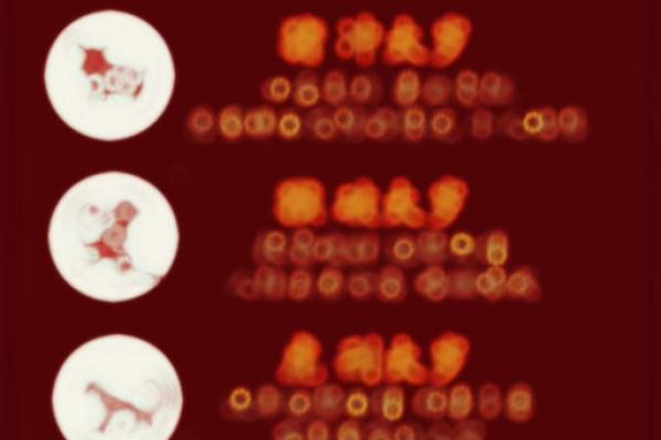 2025年属马人运势详解事业财运健康全预测 2025年属马人运势详解事业财运健康全预测