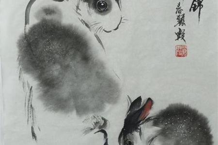 玉兔出宫是什么生肖(玉兔出宫是什么生肖的)