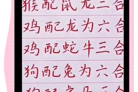 同流合污指什么生肖(同流合污指什么生肖正确答案)
