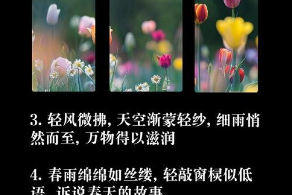 春雨如丝猜一生肖(春雨如丝什么意思) 春雨如丝猜一生肖(春雨如丝什么意思)