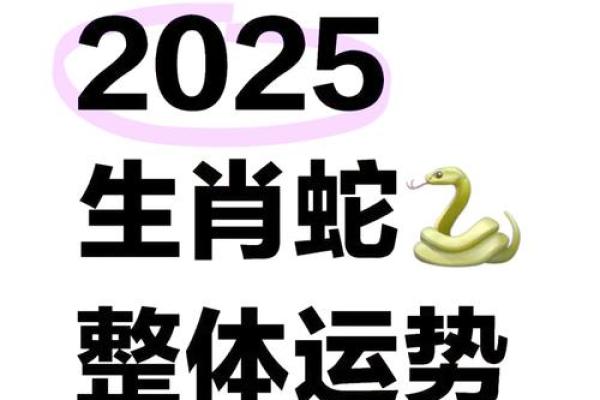 属猪人蛇年运势2025_2025蛇年属猪人运势详解全年逐月运程指南
