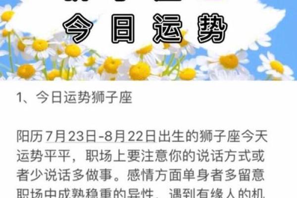 狮子座12月运势2025事业财运_2025年12月狮子座事业财运大揭秘机遇与挑战并存