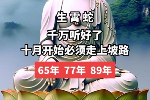 53年属蛇72岁有一灾 1953年蛇最后一劫 53年属蛇72岁有一灾 1953年蛇最后一劫