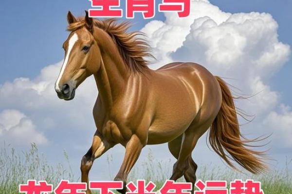 属马的人2024年运势及运程 2024年属马人运势全解析全年运程预测与每月运势指南 属马的人2024年运势及运程 2024年属马人运势全解析全年运程预测与每月运势指南