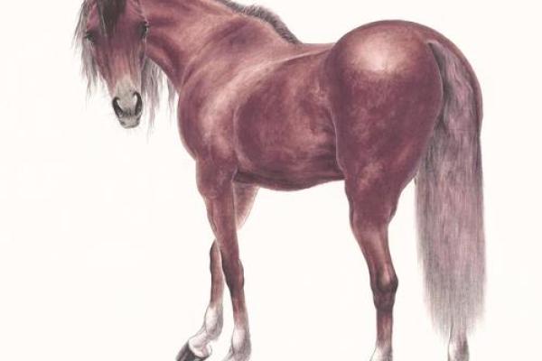 2025年2002属马人的全年运势_2002年属马人在2025年运势 2025年2002属马人的全年运势_2002年属马人在2025年运势