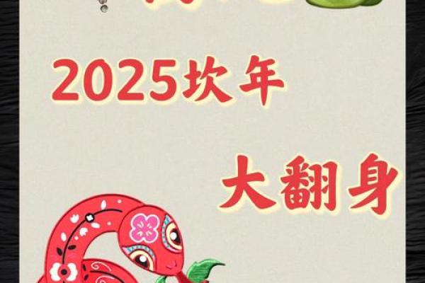 生肖蛇2025年运势完整版_属蛇人2025年运势详解 生肖蛇2025年运势完整版_属蛇人2025年运势详解