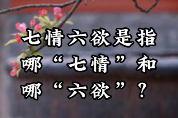七情六欲打正确生肖(七情六欲猜生肖) 七情六欲打正确生肖(七情六欲猜生肖)
