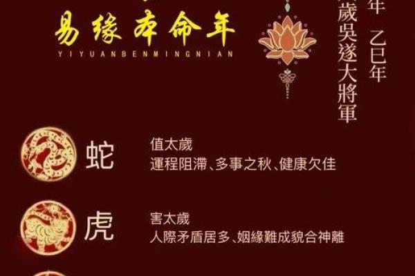 2025年属马的犯太岁吗_2025年属马犯太岁吗为什么 2025年属马的犯太岁吗_2025年属马犯太岁吗为什么