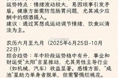 78年生肖马2025年运势全解析财运事业健康运程预测