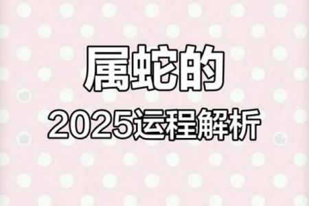 属蛇的2025年运势 2025蛇年运程全解属蛇人逐月运势大揭秘