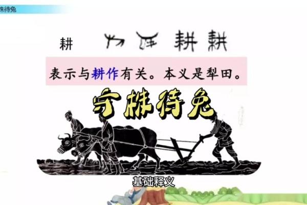 守株待兔打一生肖(守株待兔打一生肖最佳答案是鼠吗) 守株待兔打一生肖(守株待兔打一生肖最佳答案是鼠吗)