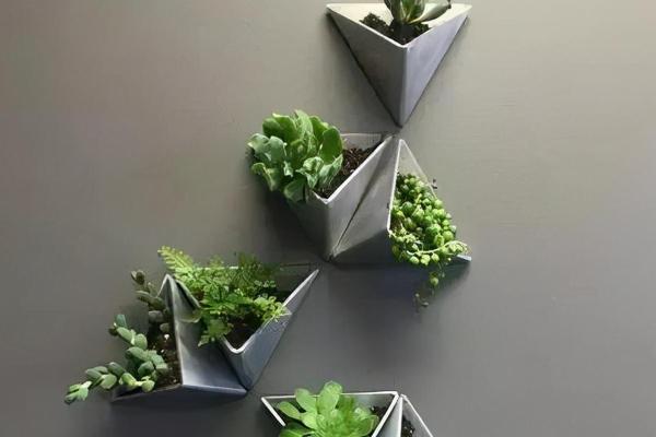 栽花算不算动土 栽花算不算动土