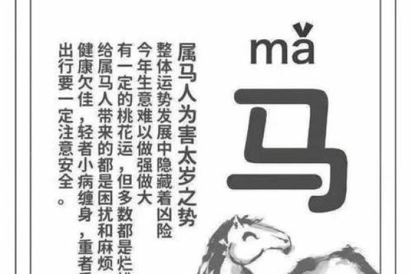 属马人全年运势_属马人全年运势如何