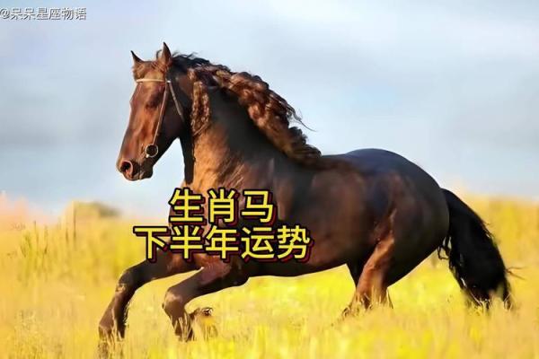 今年属马的财运和运气如何_2024年属马人运势解析财运如何全年运程大揭秘