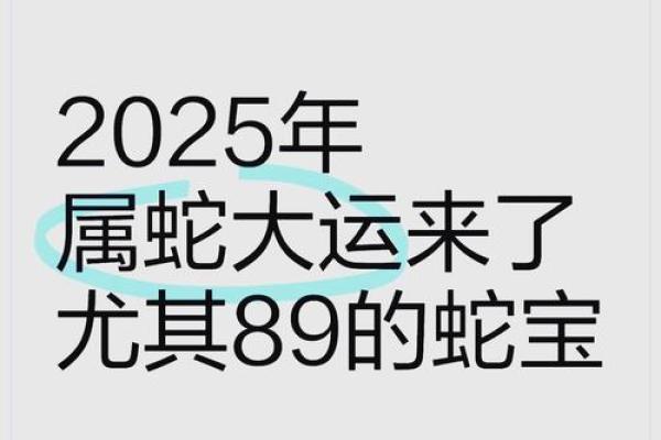 2025年属蛇人全年运势详解逐月运程精准预测 2025年属蛇人全年运势详解逐月运程精准预测