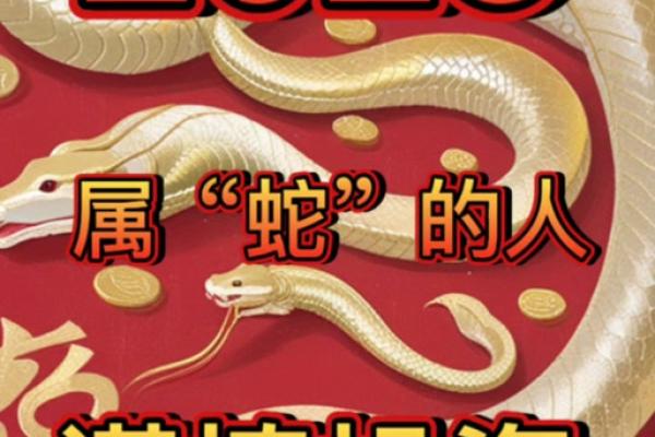 2025年属蛇运势_2025年属蛇运势完整版 2025年属蛇运势_2025年属蛇运势完整版