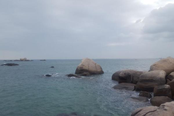 天涯海角是什么生肖(天涯海角是什么生肖动物图片) 天涯海角是什么生肖(天涯海角是什么生肖动物图片)