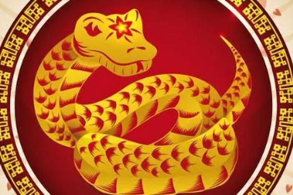 13年属蛇的今年多大了 2023年属蛇人年龄详解13年出生今年几岁含月份对照 13年属蛇的今年多大了 2023年属蛇人年龄详解13年出生今年几岁含月份对照