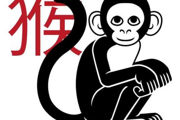 属马的跟属龙的合得来吗 属马和属龙在一起合适吗