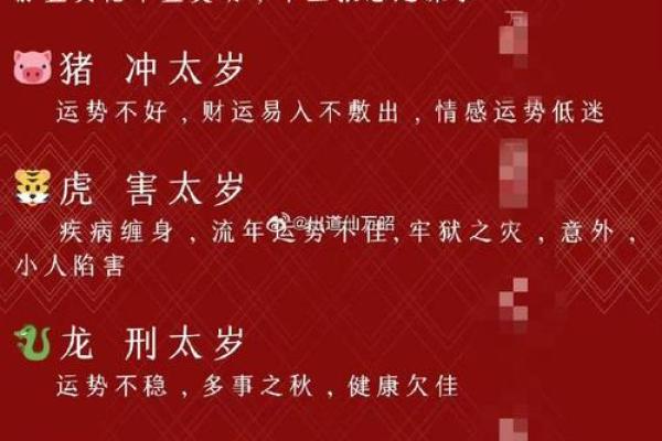 2025属龙人全年各月年龄表与运势解析
