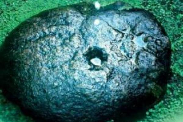 水滴石穿打一个生肖(水滴石穿打一生肖是什么动物)