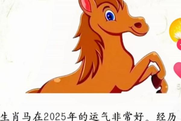 属马今年多大2025年_属马今年多大了2020年 属马今年多大2025年_属马今年多大了2020年