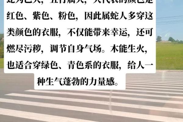 2025年属蛇大忌颜色_2025年属蛇大忌颜色是什么 2025年属蛇大忌颜色_2025年属蛇大忌颜色是什么