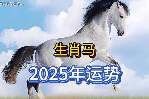 2025年属马人的运势怎么样_属马2025年运势及运程详解每月