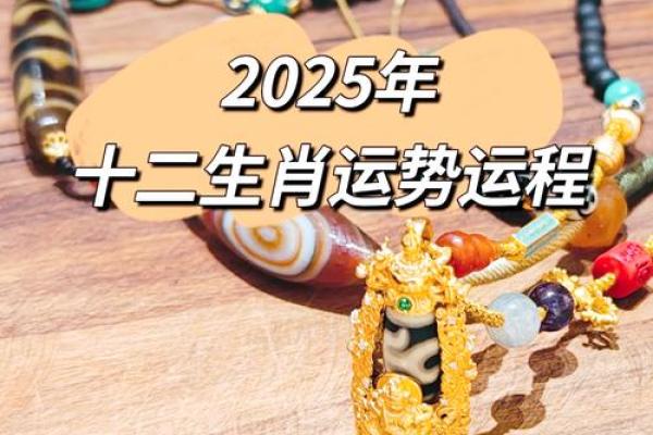 属马的人2025年的运势及运程_2025属马人运势详解全年运程财运健康全解析 属马的人2025年的运势及运程_2025属马人运势详解全年运程财运健康全解析
