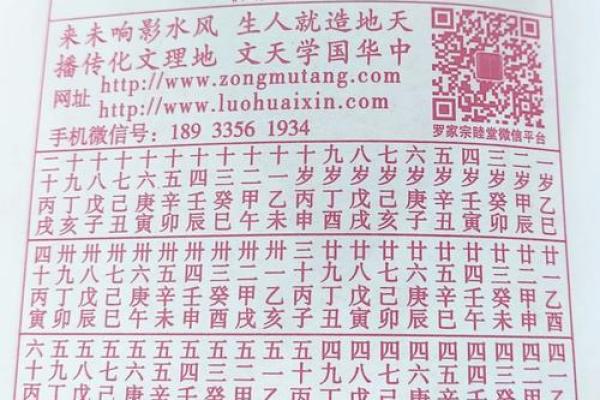 2025年属蛇逐月运程全解析全年12个月运势完整指南 2025年属蛇逐月运程全解析全年12个月运势完整指南