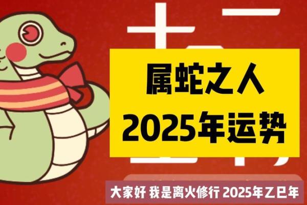 2025年属蛇逐月运程全解析全年12个月运势完整指南 2025年属蛇逐月运程全解析全年12个月运势完整指南
