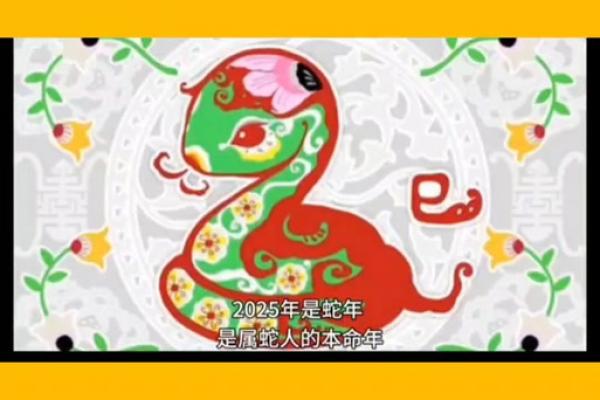 2025年属蛇人全年运势_2025年属蛇人全年运势大全