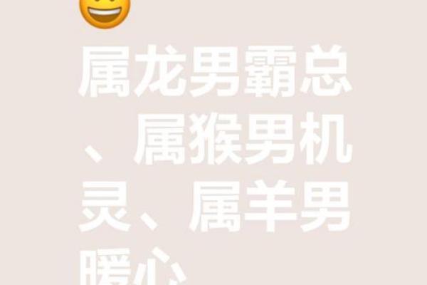 一拥而上指什么生肖(一拥而上是什么生肖)